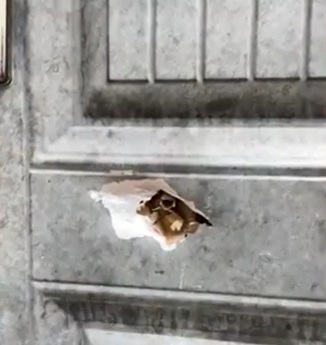 Injuries recorded in reported shooting incident at Ho Central Mosque, 10 suspects arrested by police